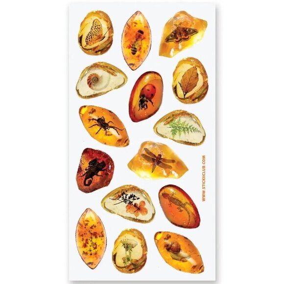 3 for $15 - Amber Fossils Sticker Sheet - Preserved‎ Insects & Plants Stickers - Picture 1 of 2